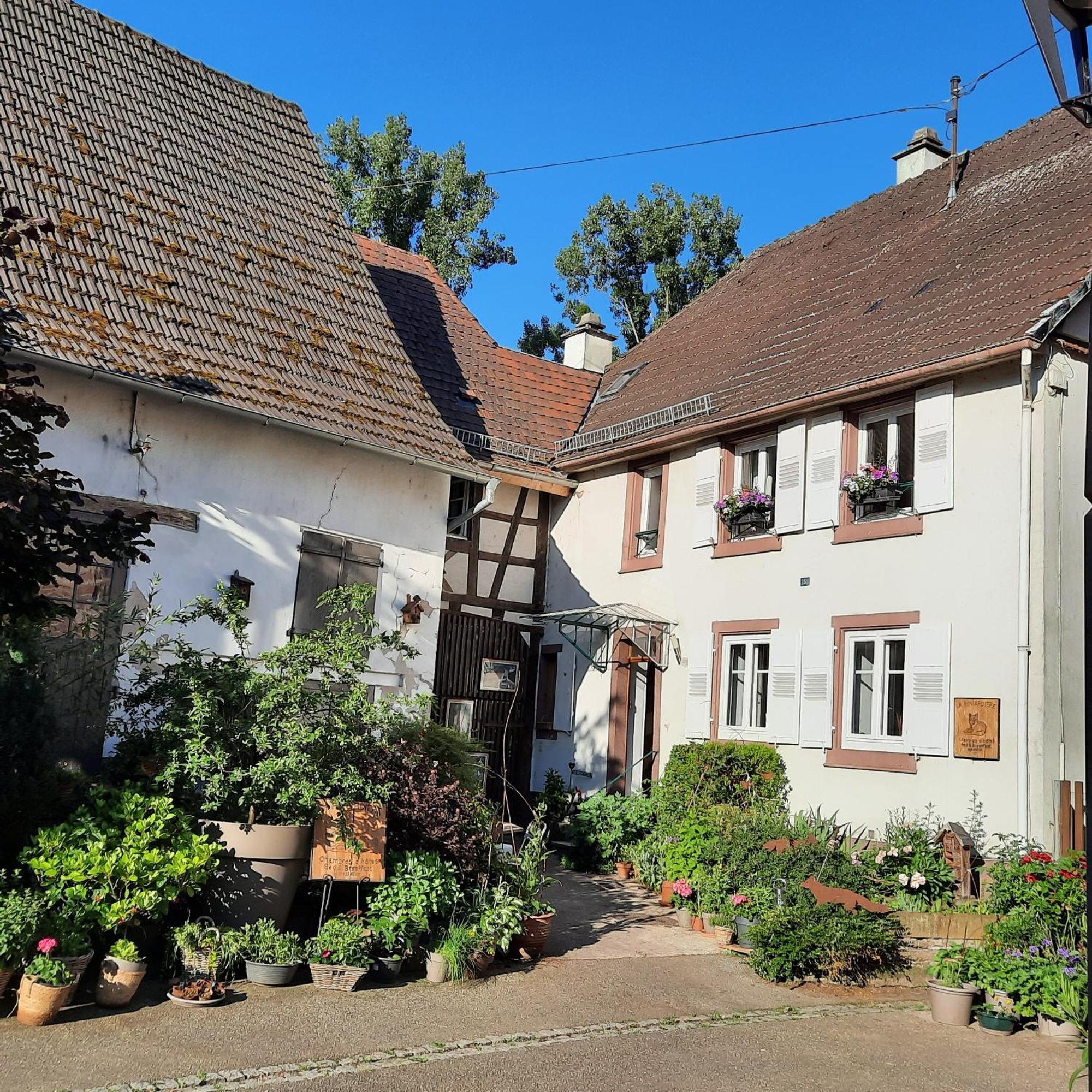 La Renardiere Reichshoffen Exteriér fotografie